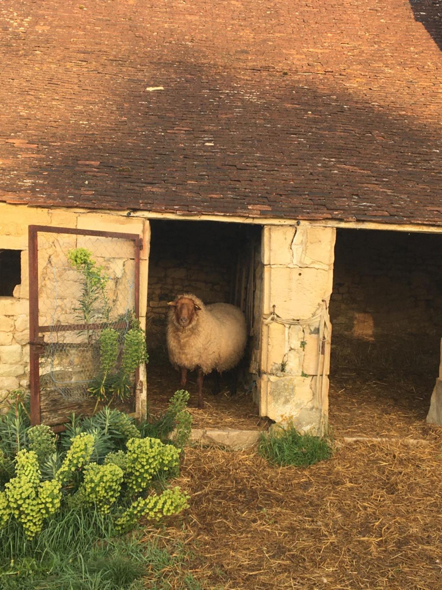 Bed and Breakfast La Queurie La Courbe Zewnętrze zdjęcie